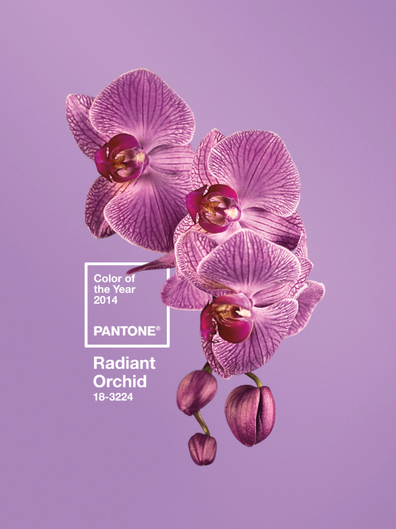 radiant-orchid-color-2014